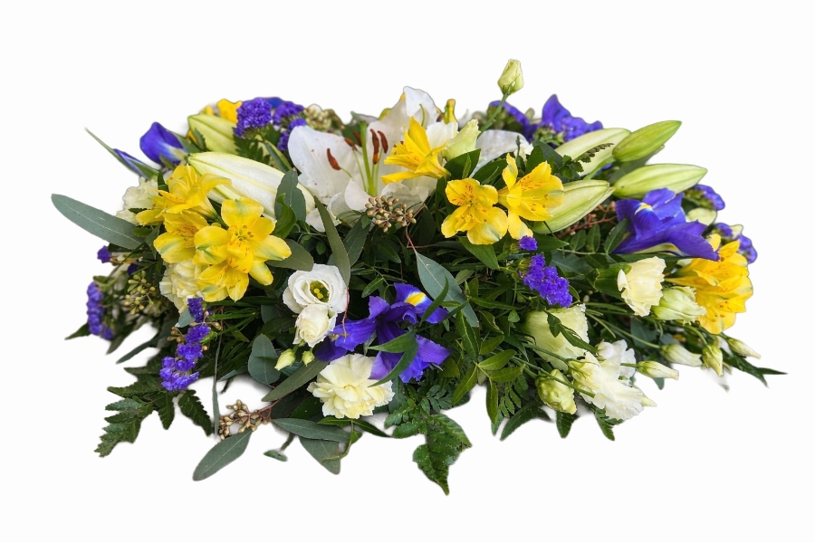 Bright Yellow & Blue Spray