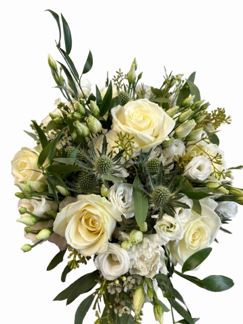 Beautiful Neutral